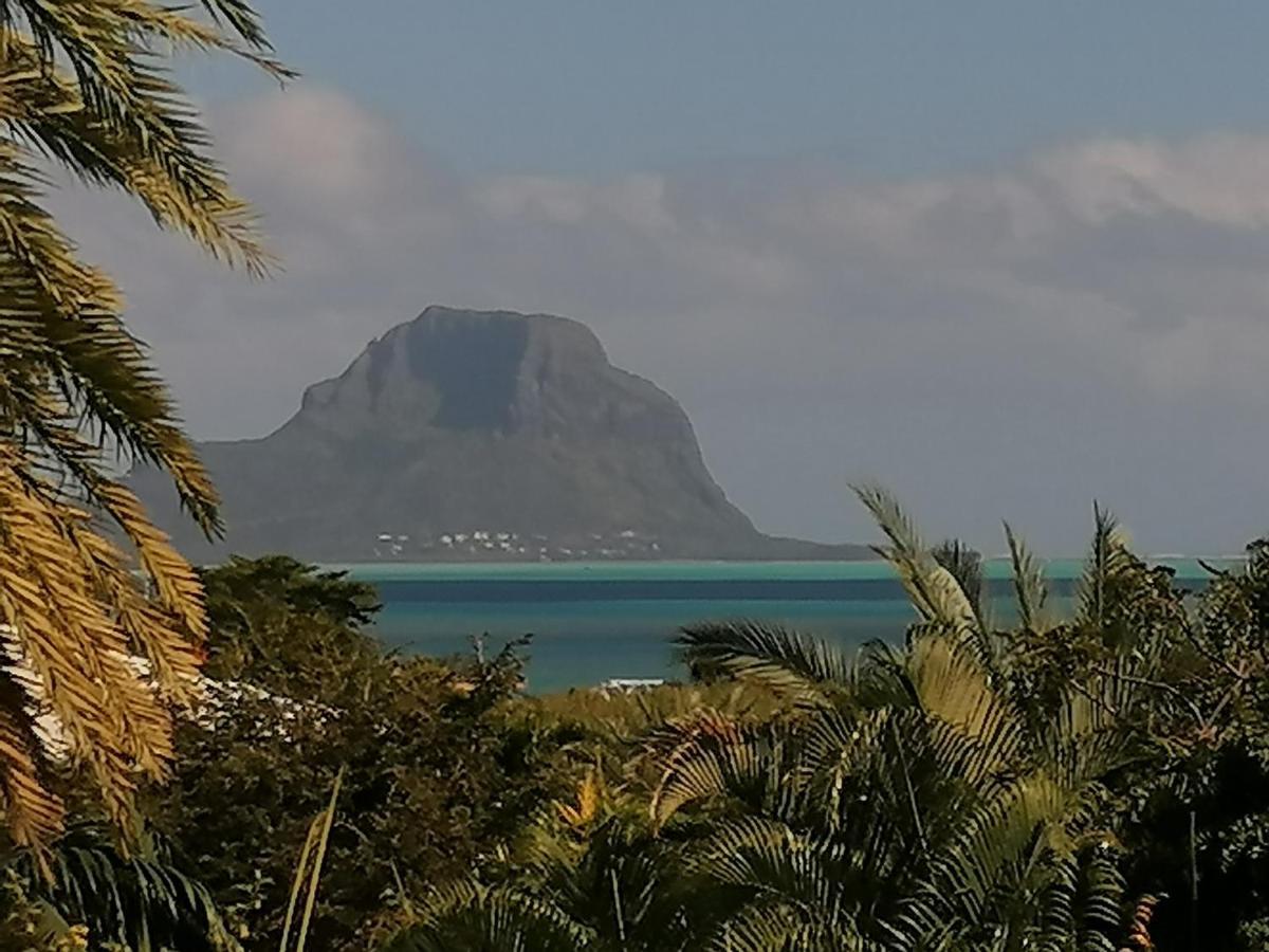 Terre Et Mer - Studios - Ile Maurice Rivière Noire Eksteriør billede