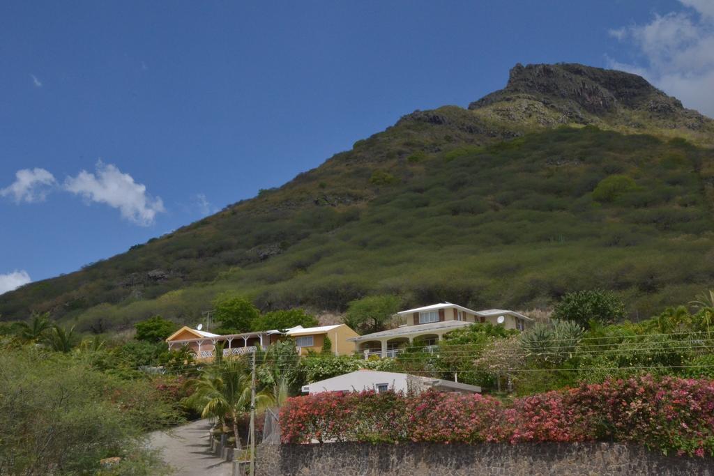 Terre Et Mer - Studios - Ile Maurice Rivière Noire Eksteriør billede